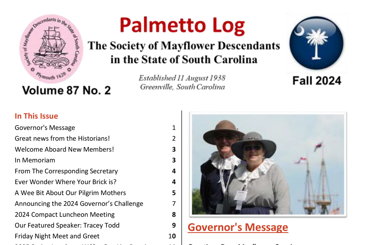 Palmetto Log Fall 2024